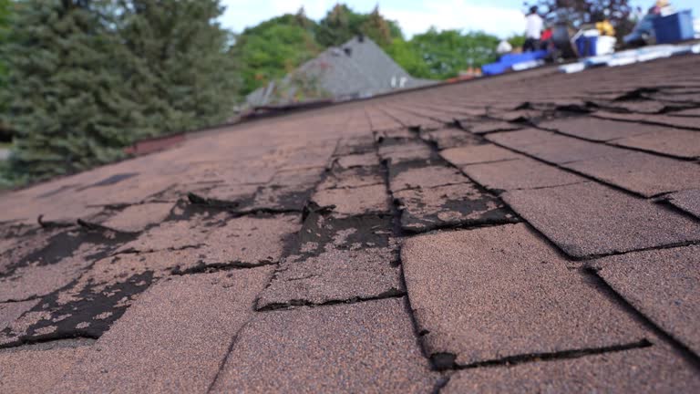 Fast & Reliable Emergency Roof Repairs in Gloucester City, NJ